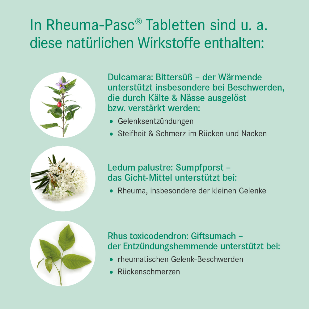 Rheuma-Pasc Tabletten Wirkstoffe
