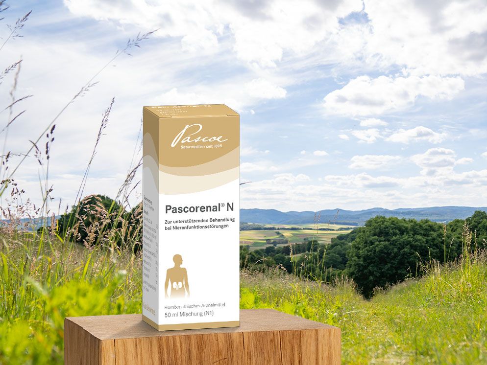 Das Produkt Pascorenal N steht in einer schönen Landschaft auf einem Holzblock