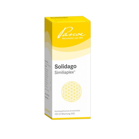 Solidago Similiaplex 100 ml Packshot PZN 05463791