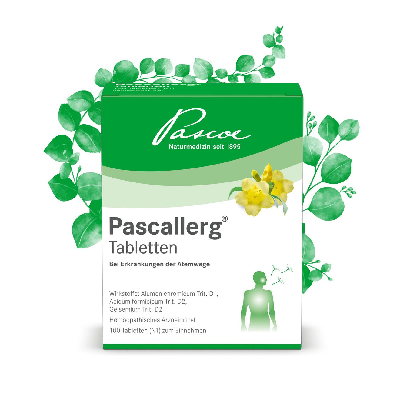 Pascallerg®: seit Jahrzehnten bei Heuschnupfen bewährt