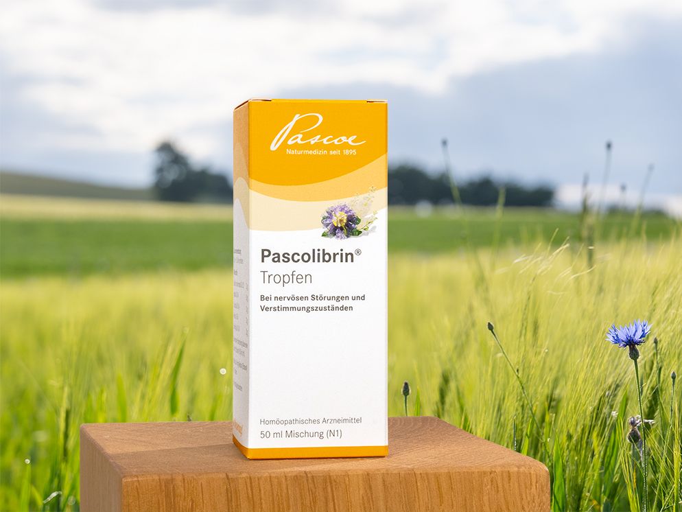 Hier steht das vorgestellte Produkt Pascolibrin auf einem Holzblock vor einer schönen grünen Landachaft