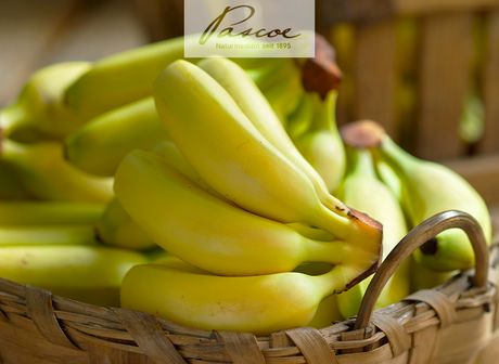 Stopfen Bananen wirklich?