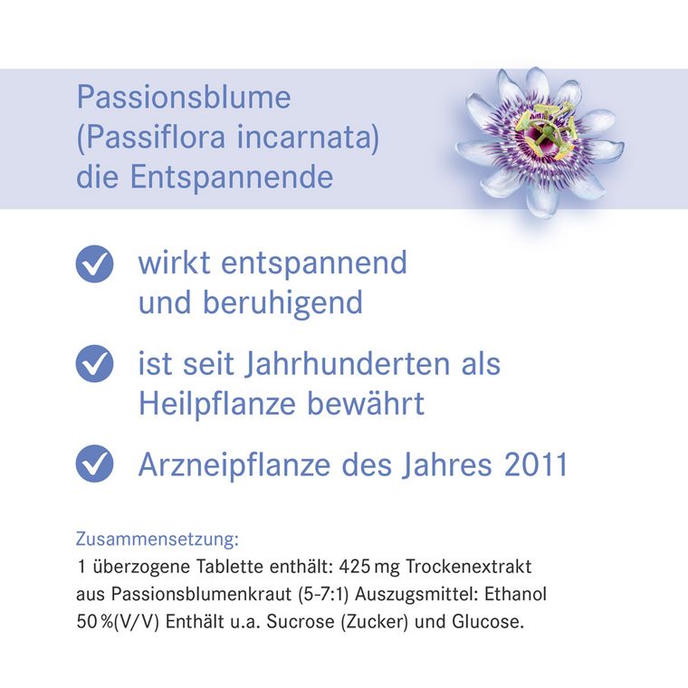 [Translate to Englisch:] Passionsblume