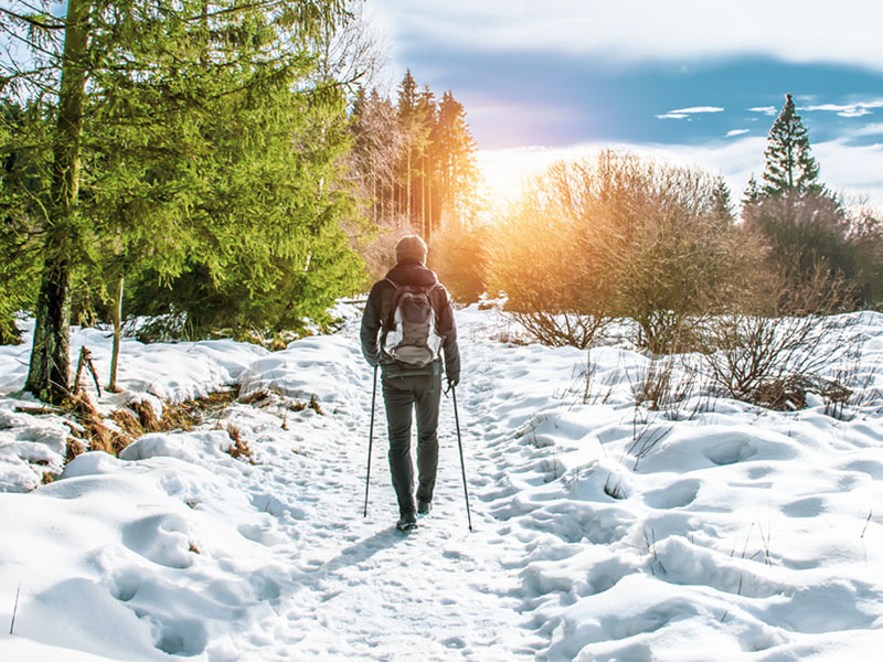 Winterdepression vorbeugen: Nordic Walking bringt den Körper in Schwung