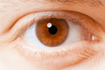 Braune Augen - Similiaplexe
