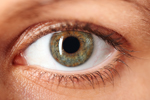Zweifarbige Augen - Similiaplexe