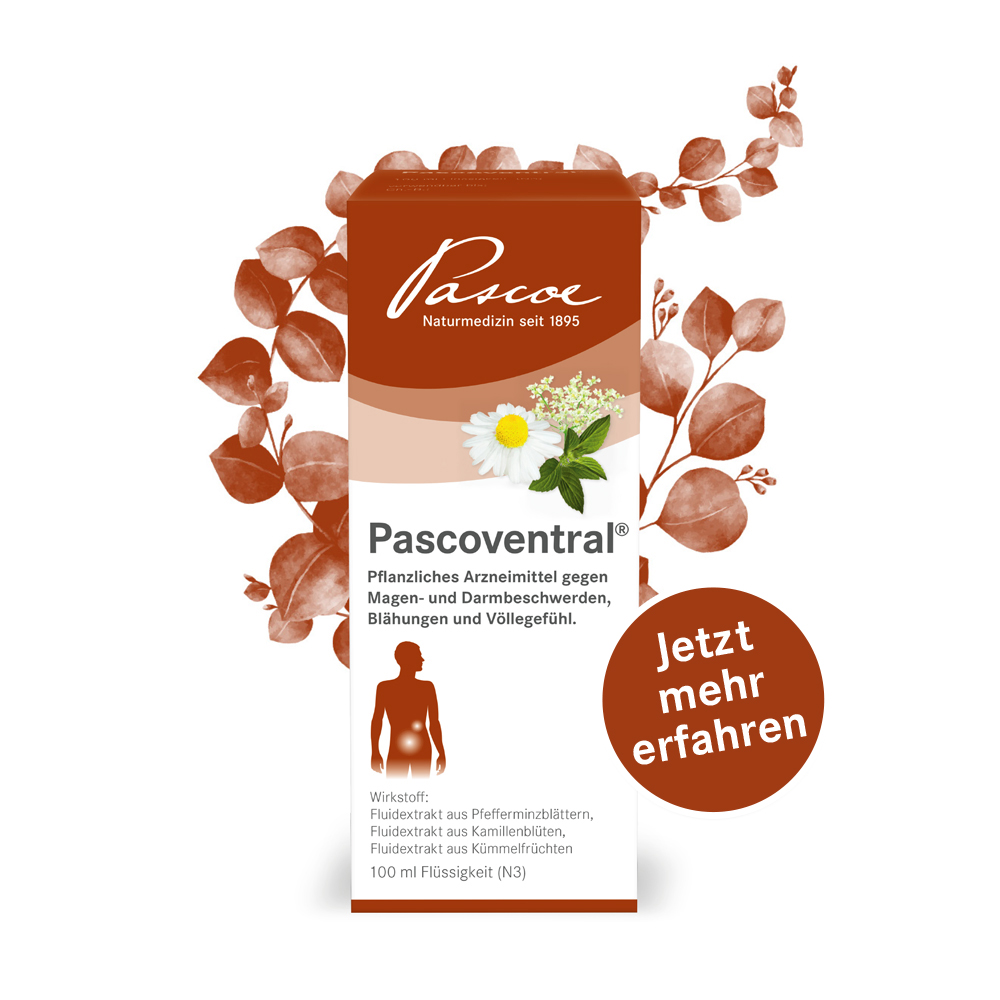 Packung Pascoventral 