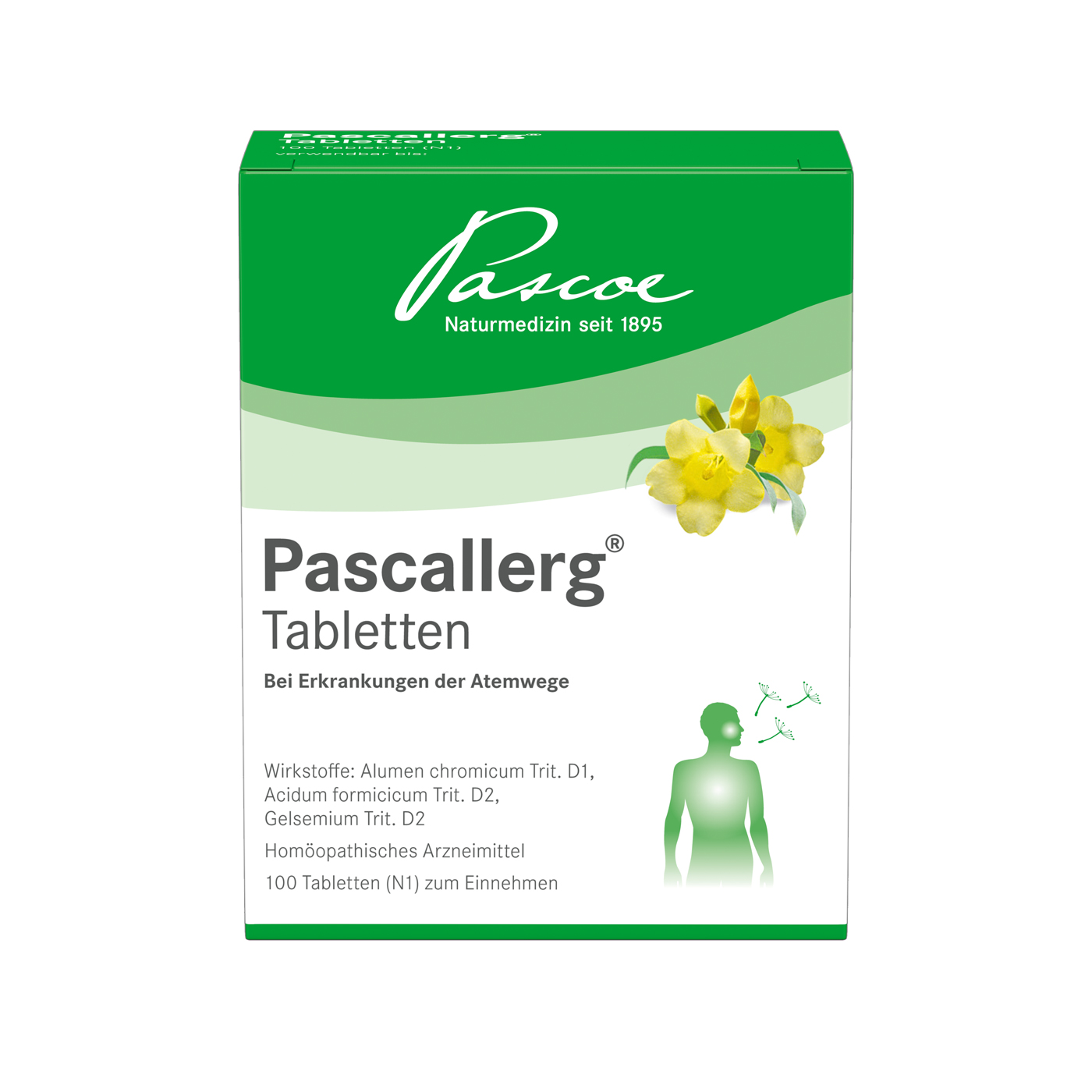 PascallergPascallerg