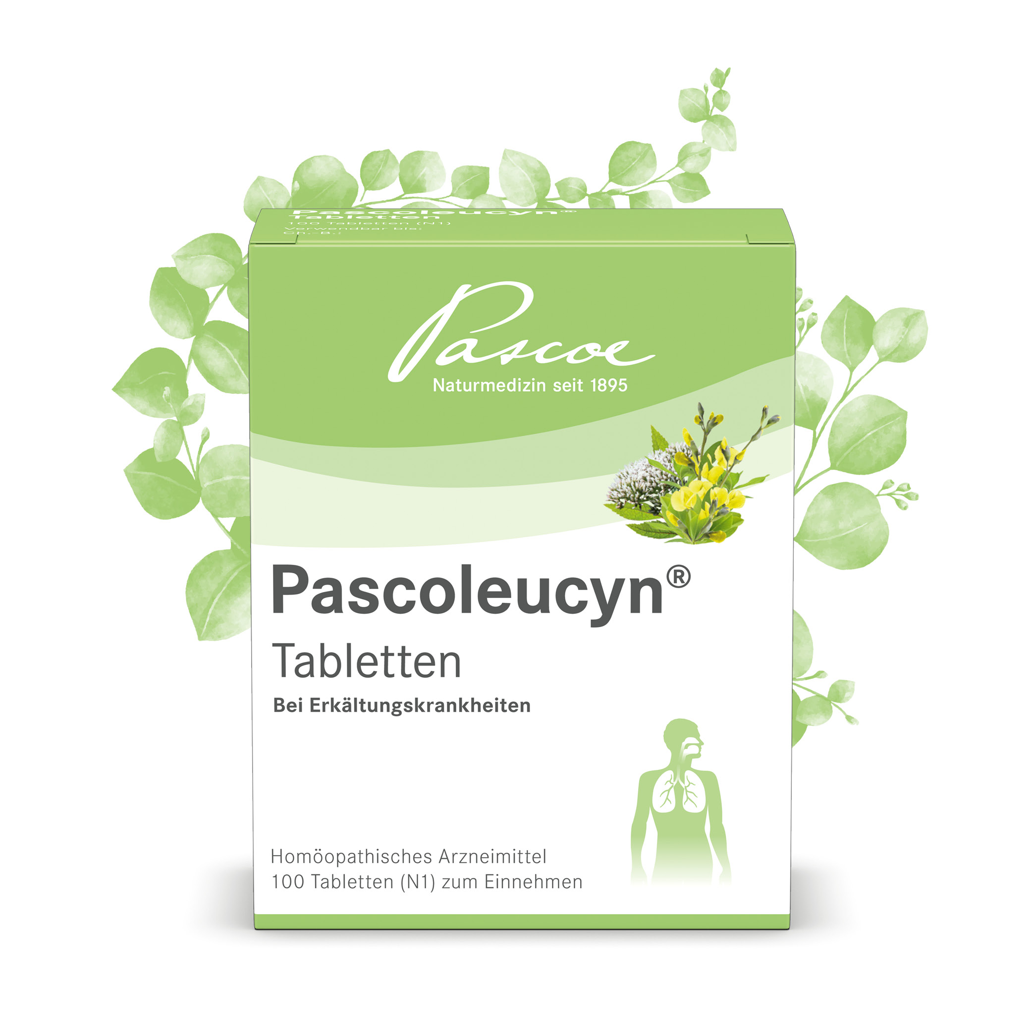 Pascoleucyn-Tabletten Packshot