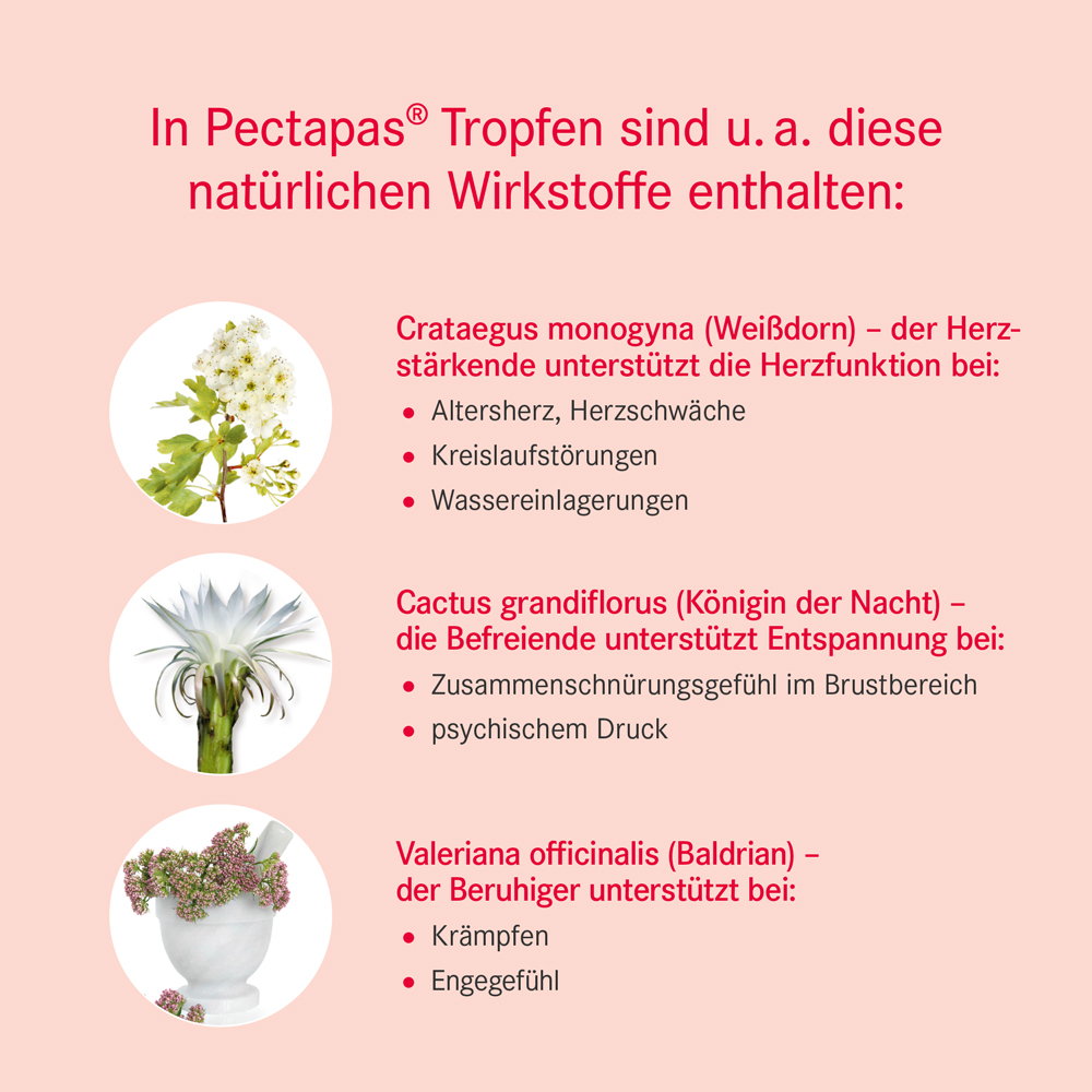 Pectapas-Tropfen Wirkstoffe