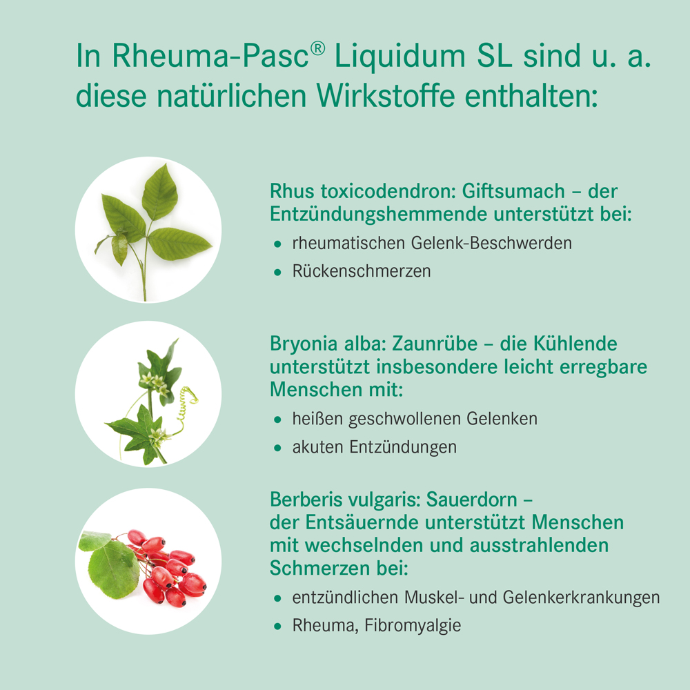 Rheuma-Pasc Liquidum Wirkstoffe