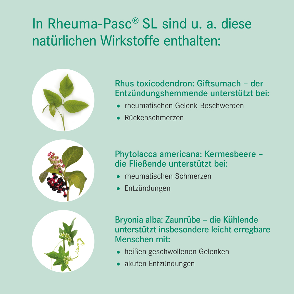 Rheuma-Pasc-Tropfen SL Wrkstoffe