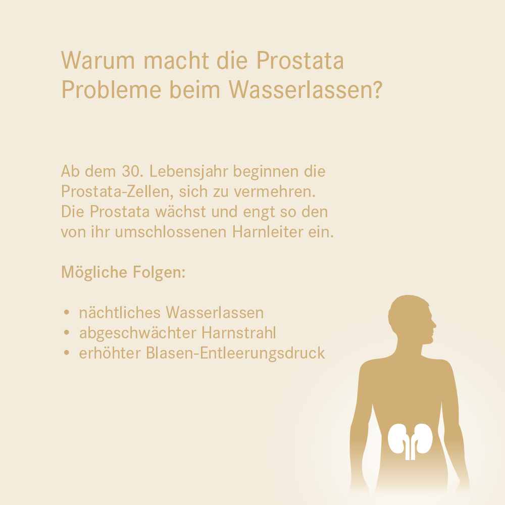 Warum macht die Prostata Probleme beim Wasserlassen?